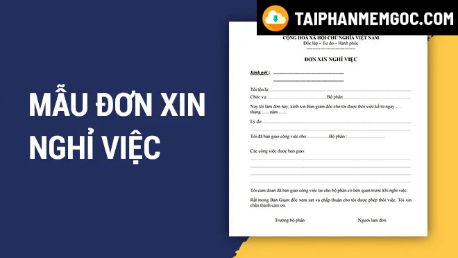 Top 5 mẫu đơn xin nghỉ việc chuyên nghiệp nhất