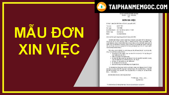 Mẫu đơn xin việc và cách viết đơn xin việc