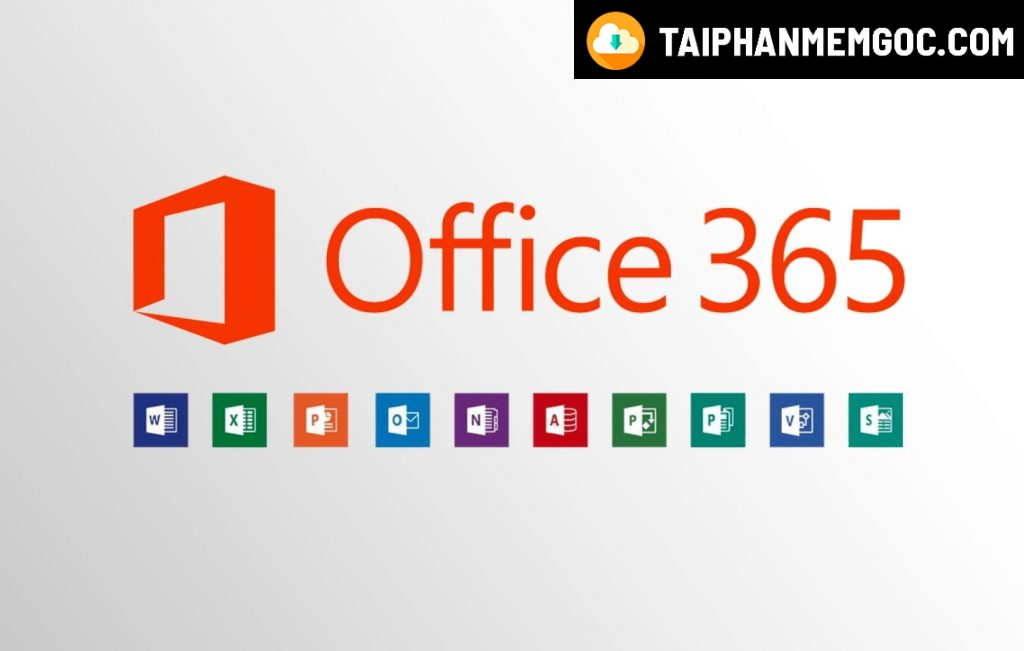 office 365